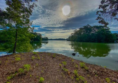 Scenic View Of Calm Lake Surrounded By Trees